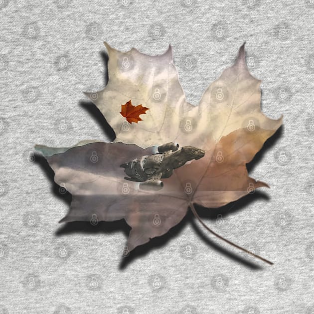 A Leaf on the Wind by NotSoSilentBob420